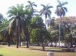 Filename=Picture_240.jpg
Filesize=231KB
Dimensions=1024x768
Date added=Feb 20, 2009 Picture_240.jpg