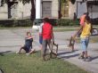 Filename=Picture_251.jpg
Filesize=187KB
Dimensions=1024x768
Date added=Feb 20, 2009 Picture_251.jpg